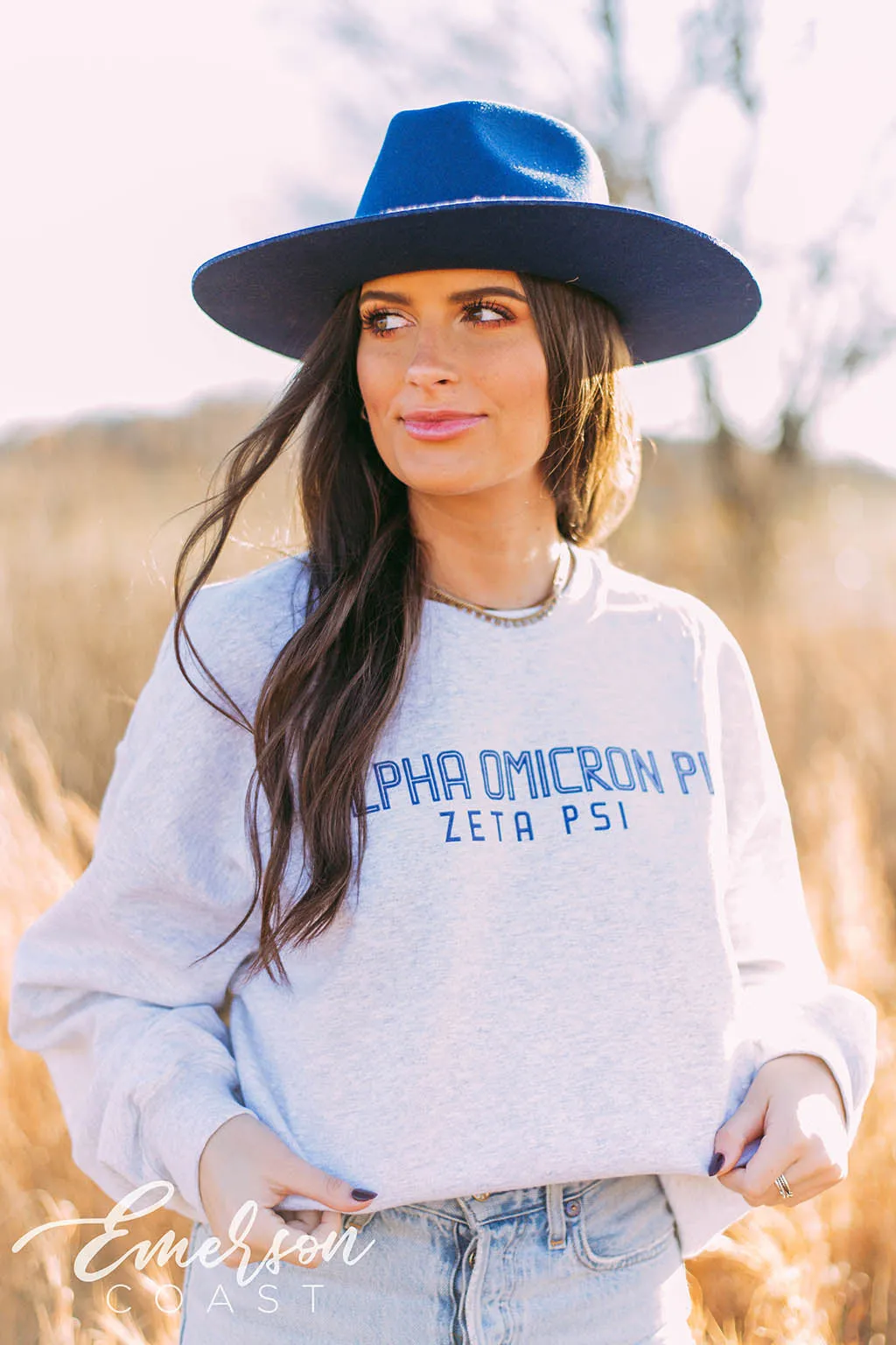 Alpha Omicron Pi Simple Ash Gray Crewneck