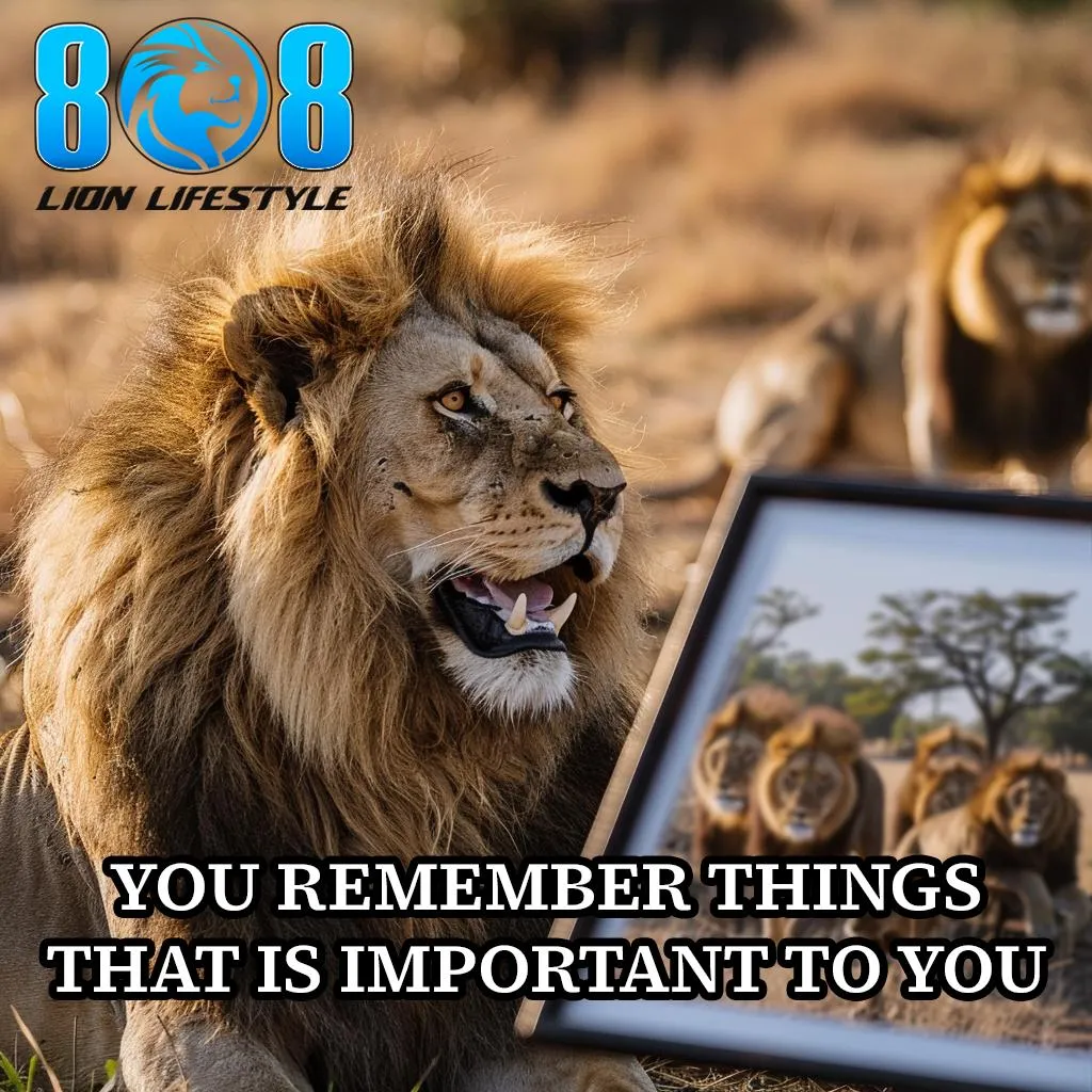 Important Memories T-Shirt